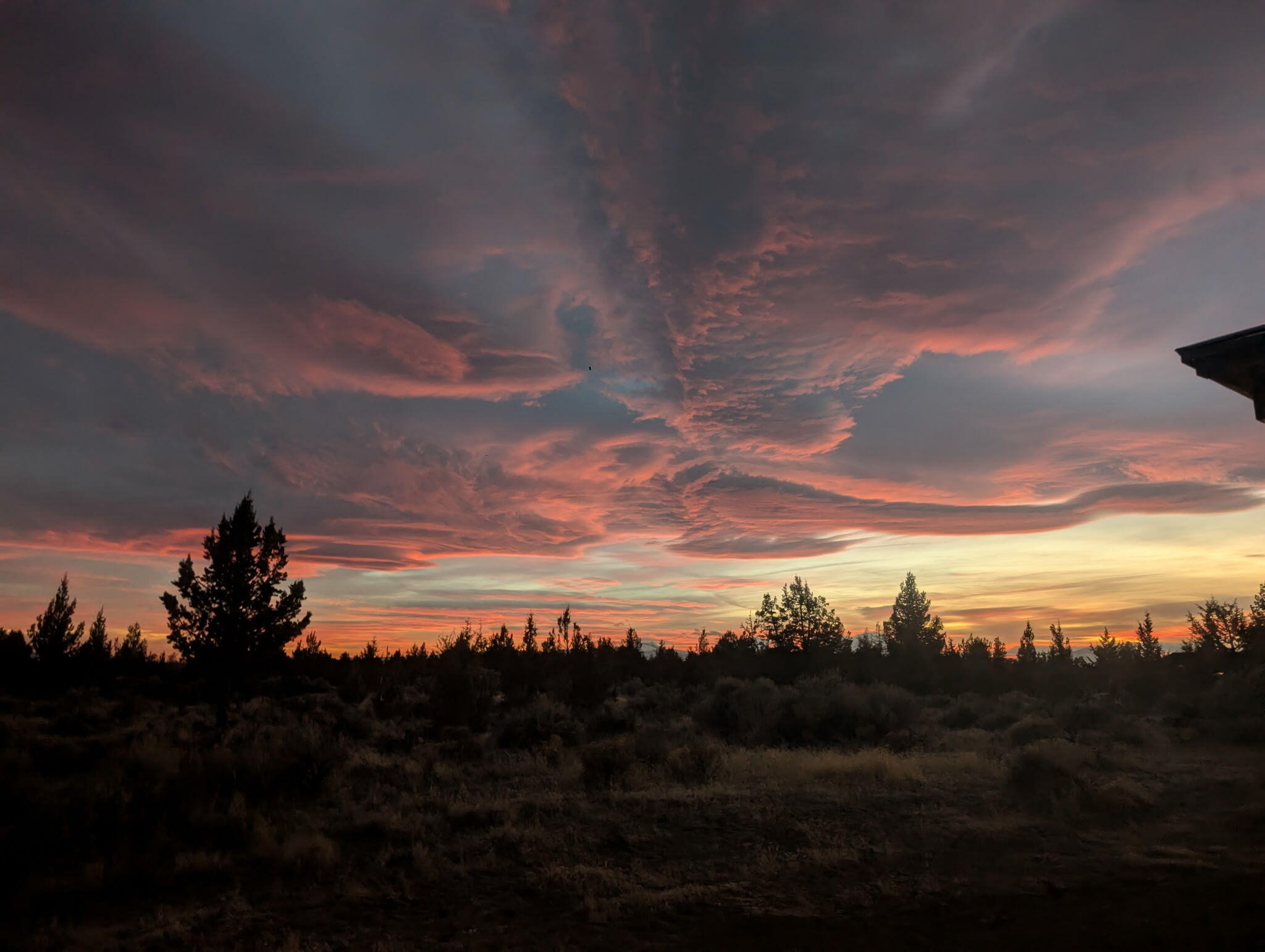 Scrub-covered lot and evergreen trees beneath vivid pink-orange sunset clouds