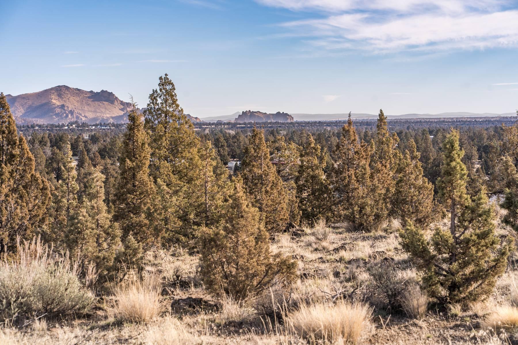 Vacant juniper-covered lot with distant rocky mountain views.