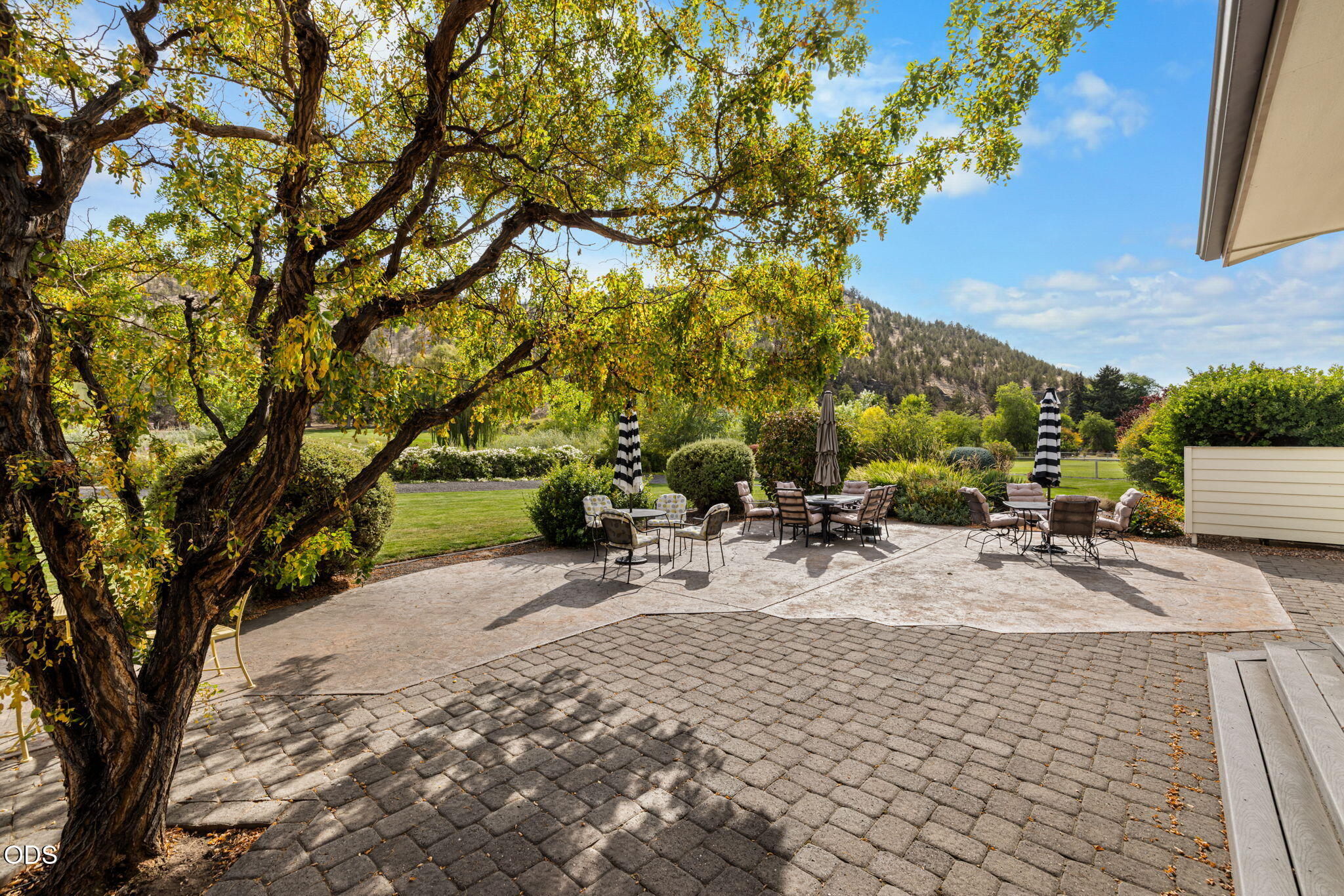 Outdoor patio with multiple seating areas beneath a mature tree, landscaped garden, and wooded hillside view.