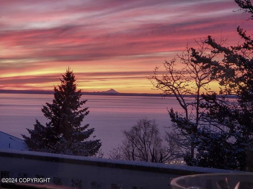 18620 Harlequin Place