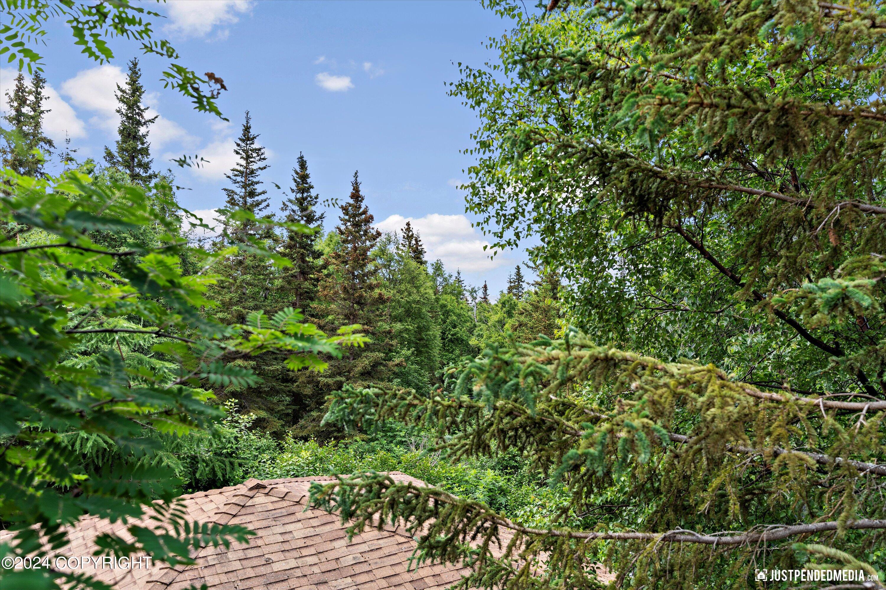 6851 Round Tree Circle