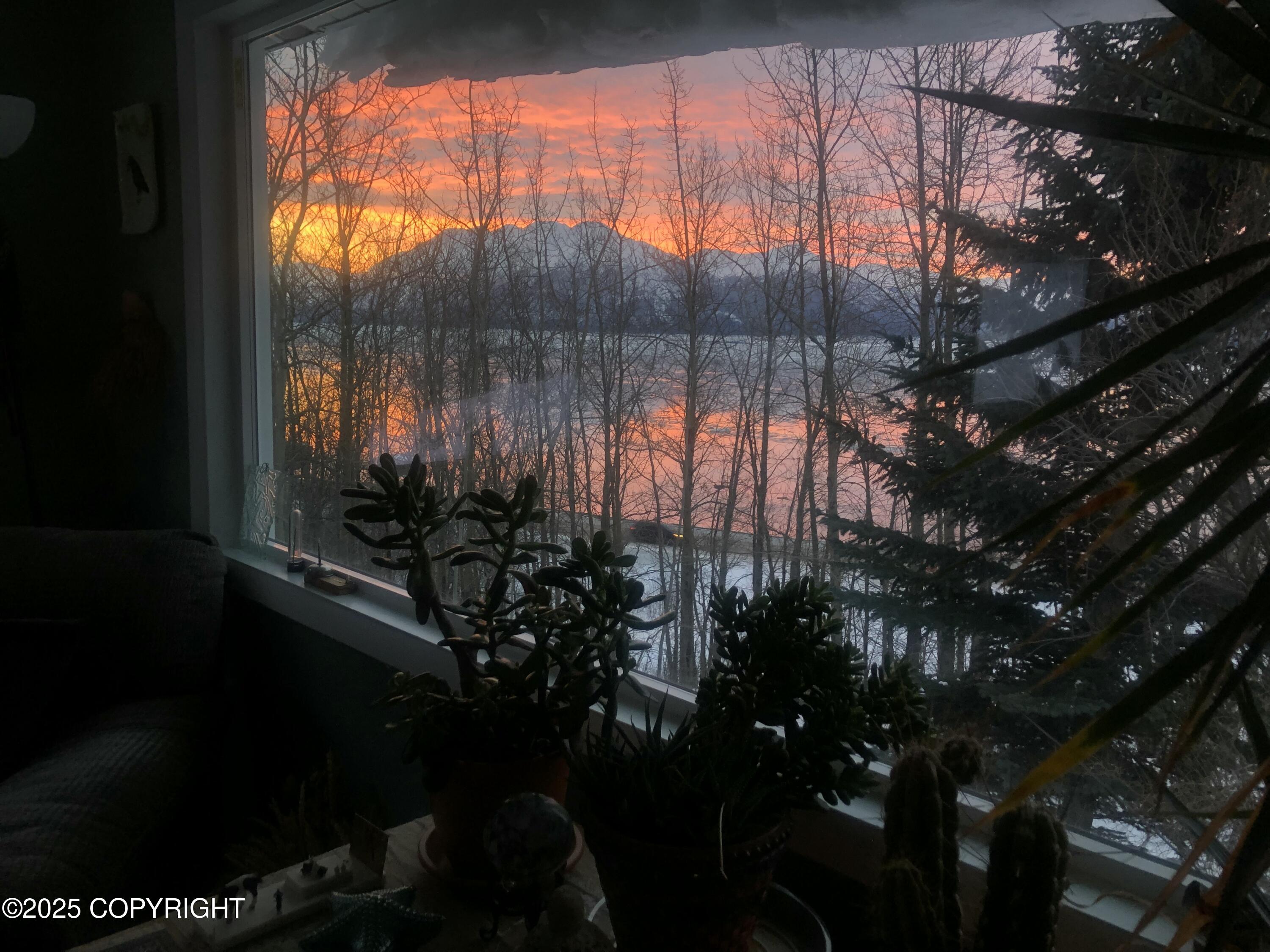 24153 Seward Highway