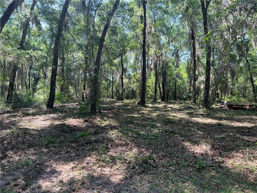 Lot 56 St. Josephs Point