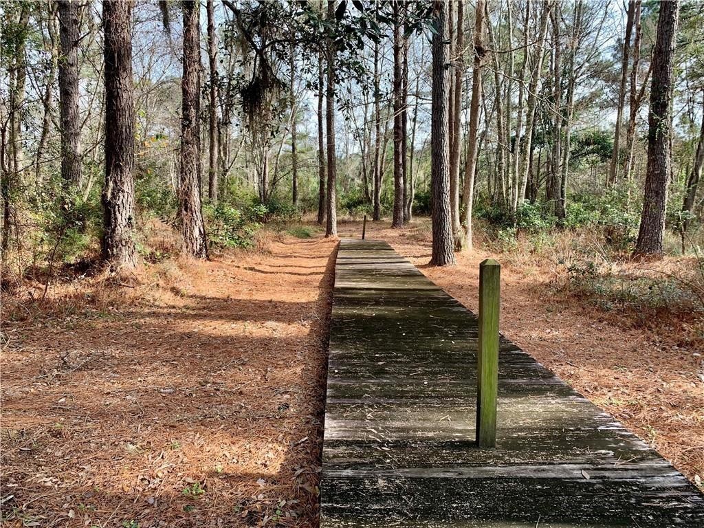 Lot 55 St. Josephs Point