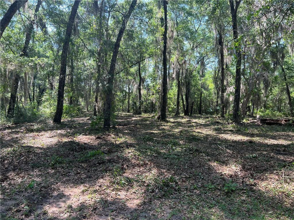 Lot 55 St. Josephs Point