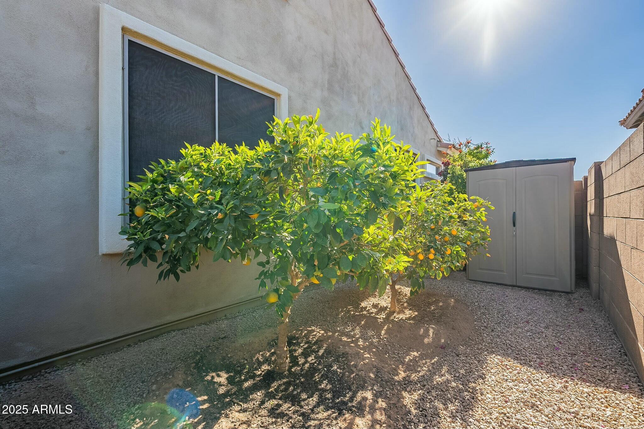 36080 W MERCED Street