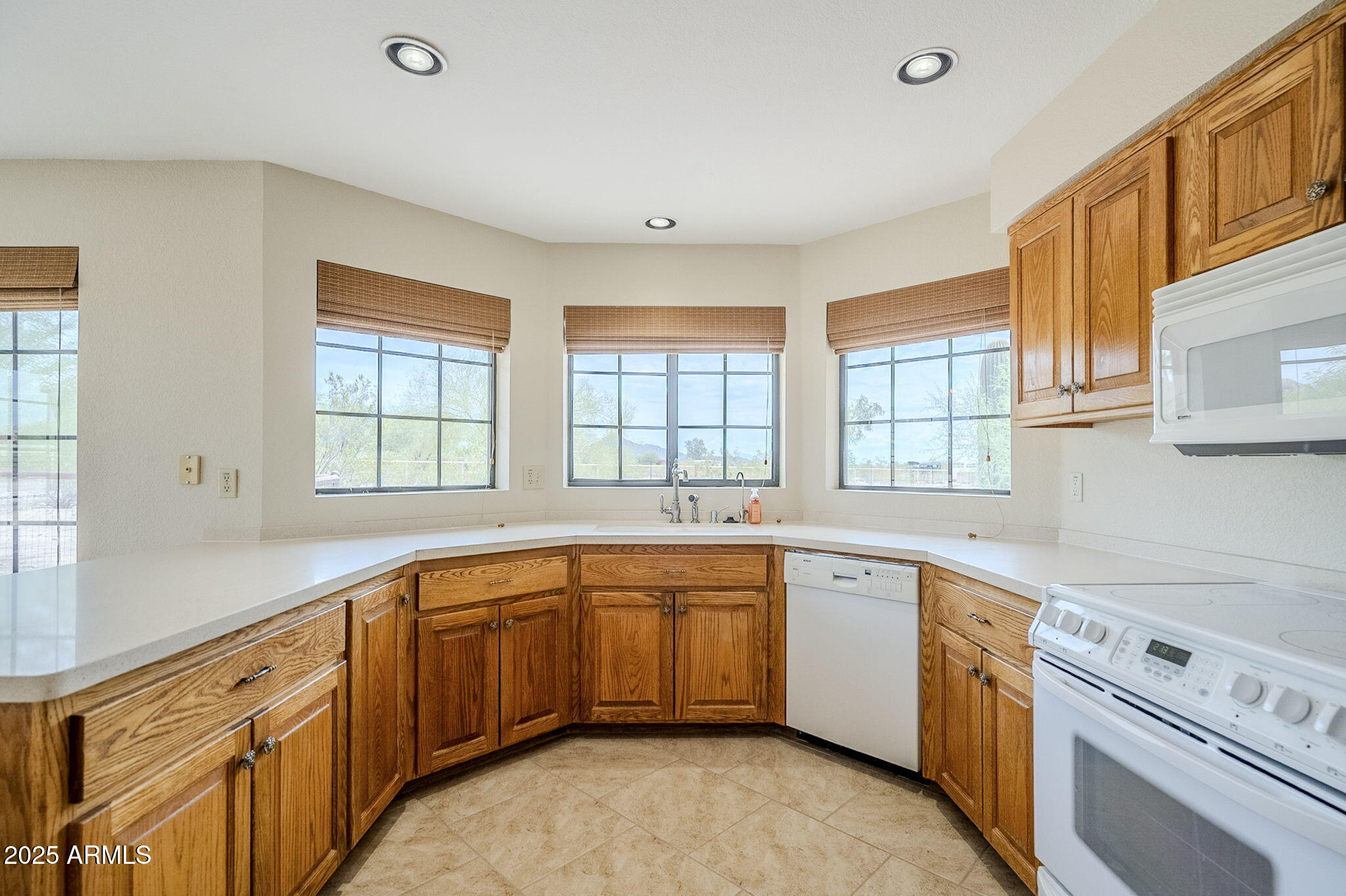11378 N SOMBRA DEL MONTE Road