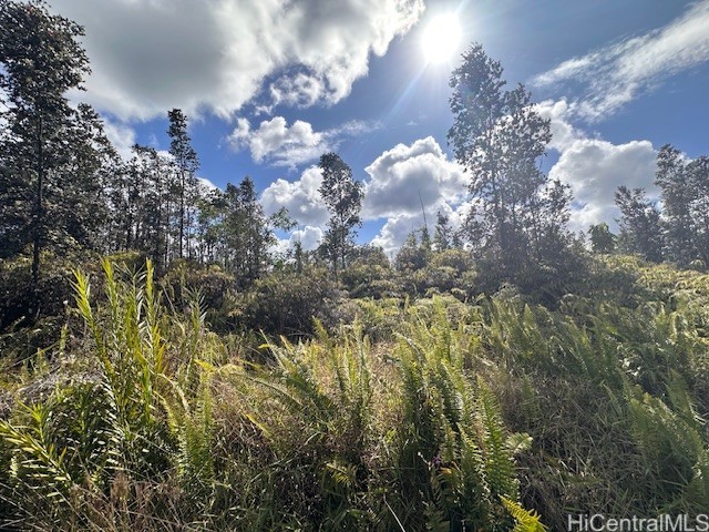 0000 Bamboo Drive
