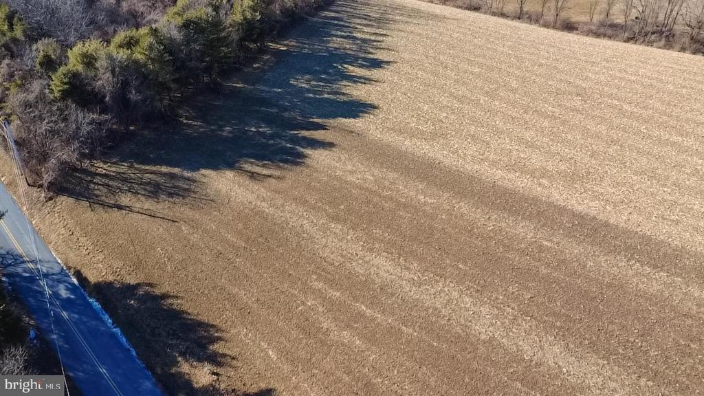 LUTZ ROAD