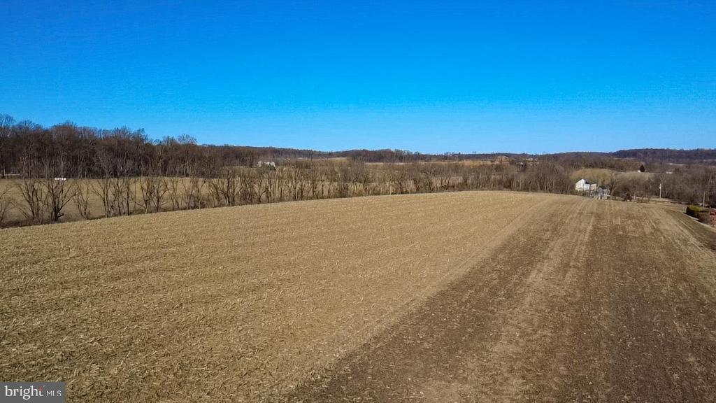 LUTZ ROAD