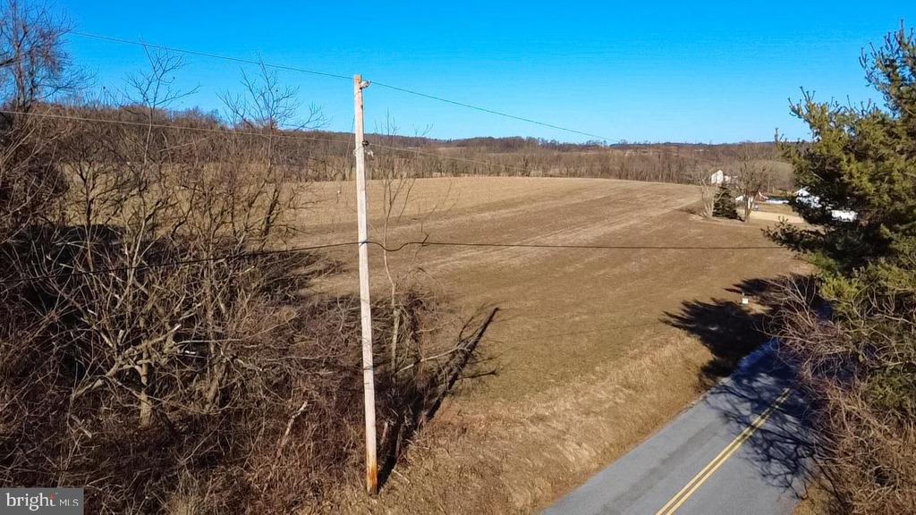 LUTZ ROAD