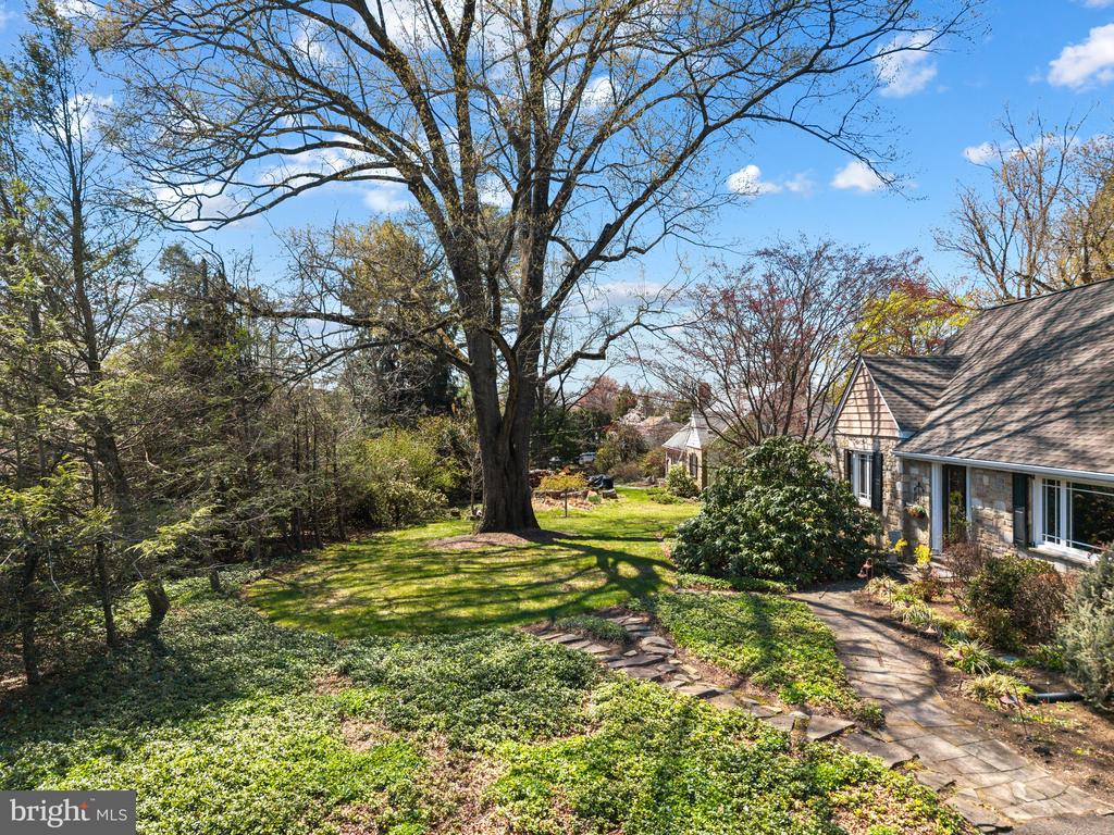 1946 WASHINGTON LANE