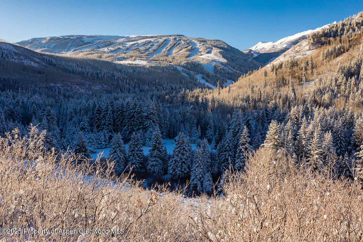 8500 & TBD Snowmass Creek Road