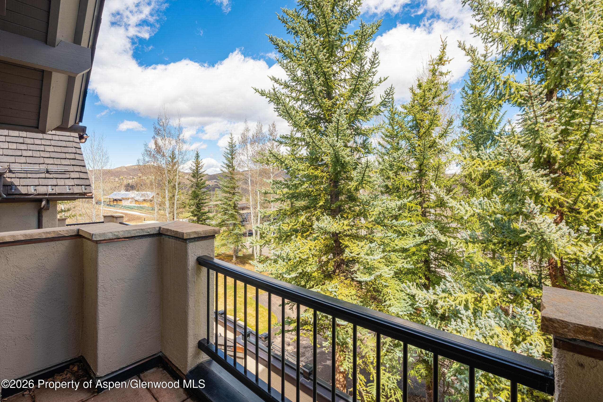 102 Burnt Mountain Drive 2