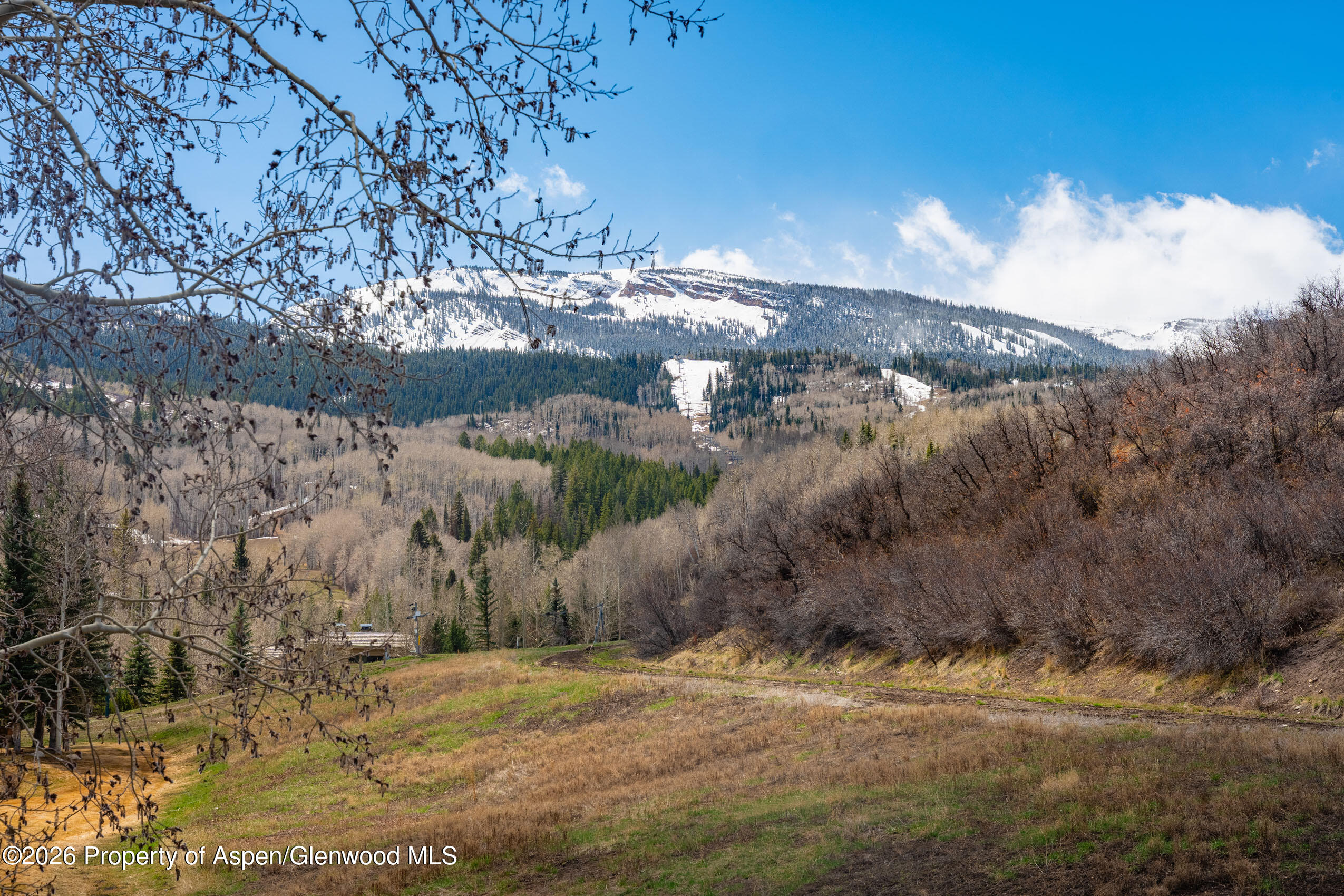 102 Burnt Mountain Drive 2