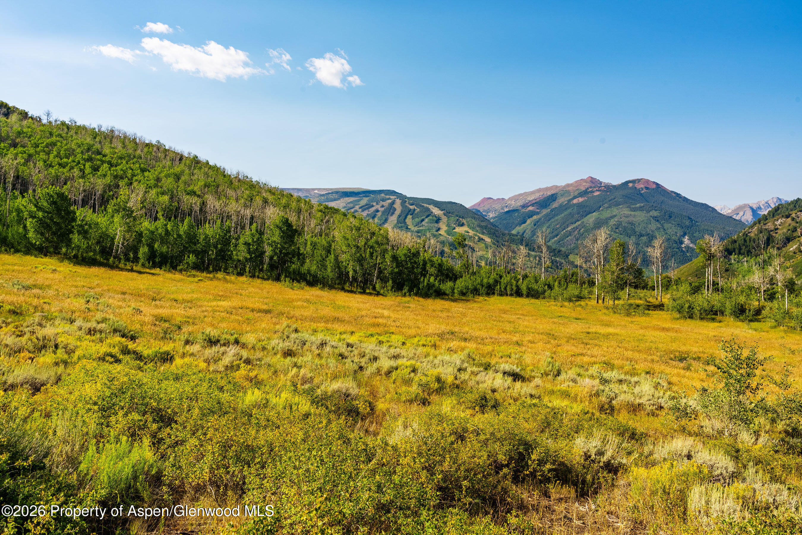 8500 & Tbd Snowmass Creek Road