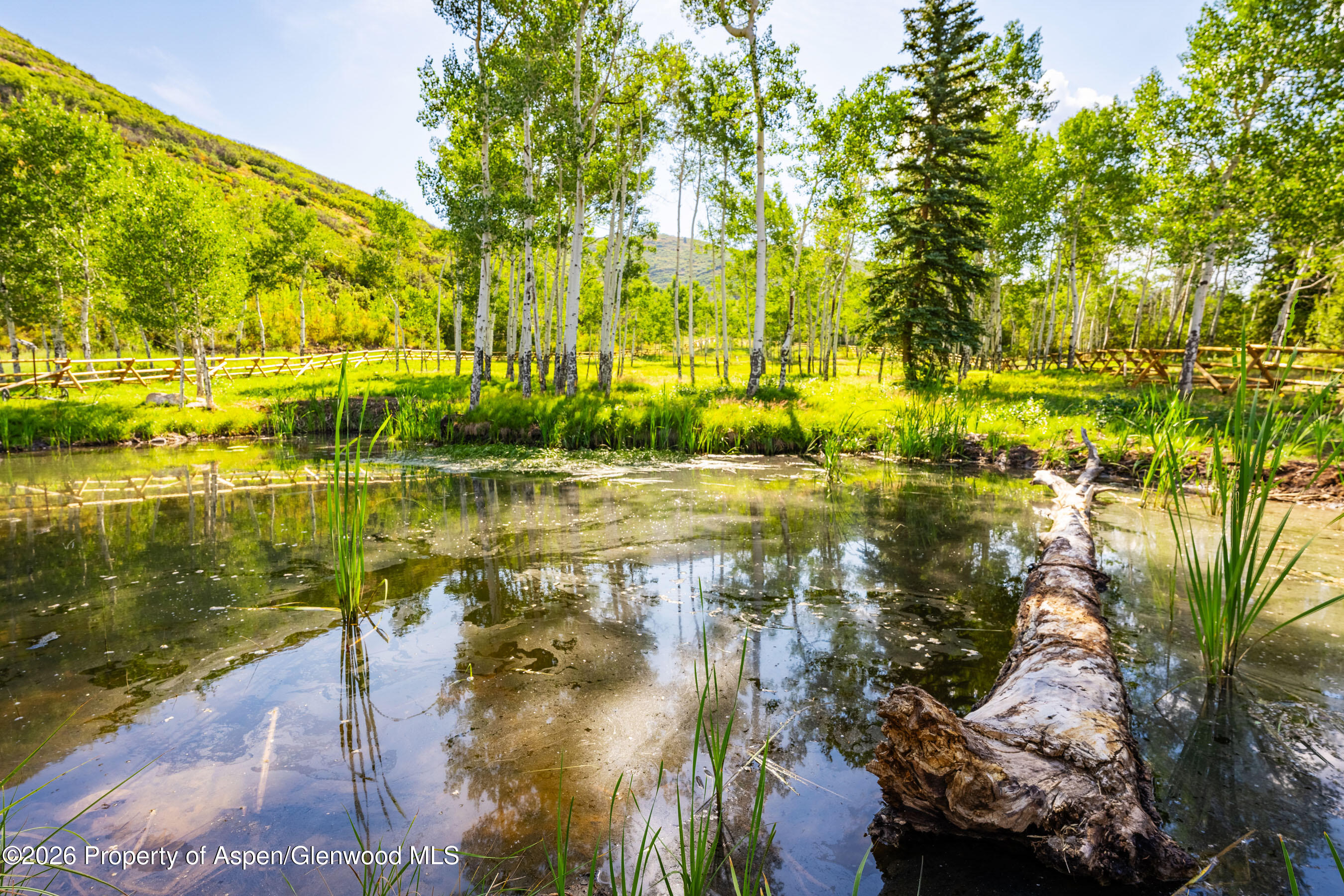 8500 & Tbd Snowmass Creek Road