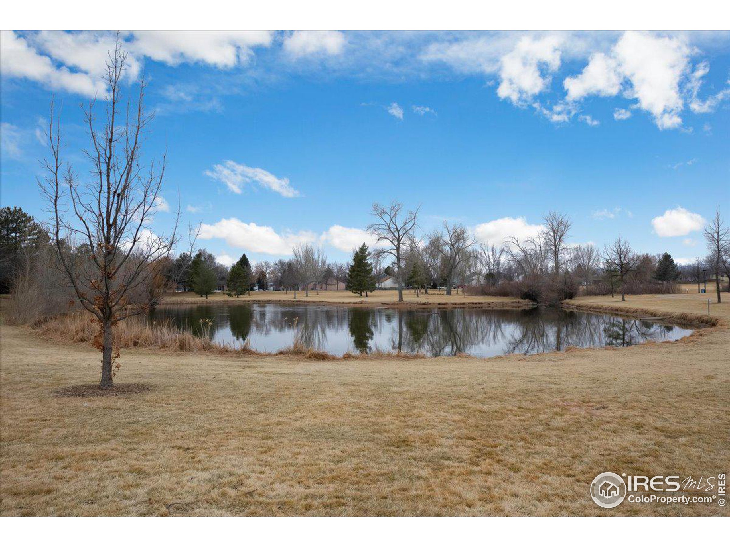 4218 Saddle Notch Dr