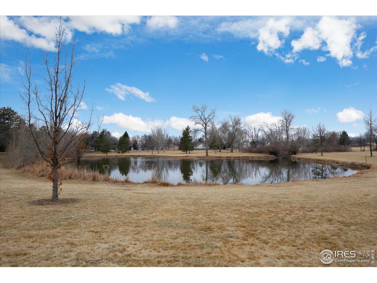 4218 Saddle Notch Dr