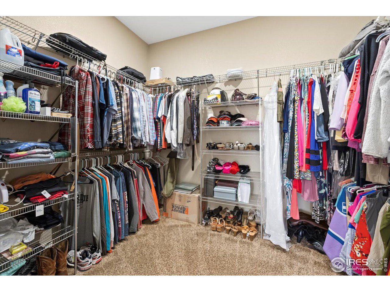 1787 Dolores River Ct