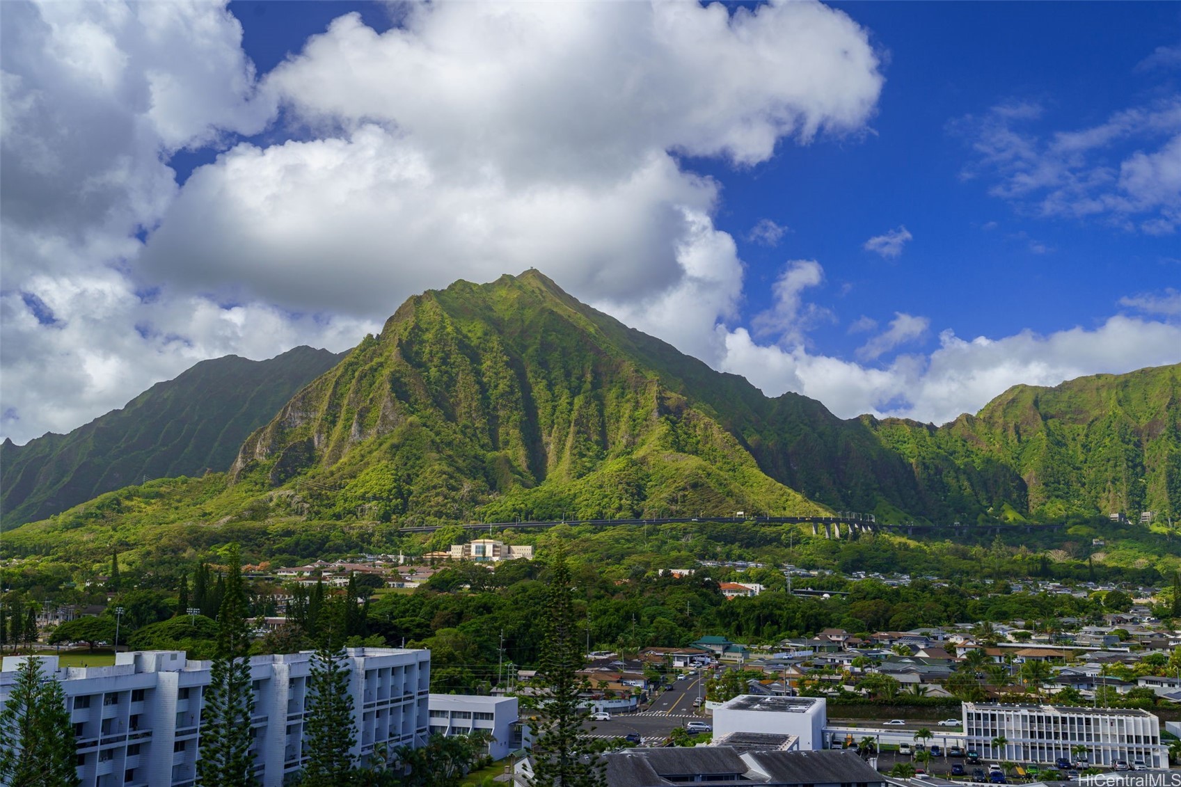 46-255 Kahuhipa Street A1204