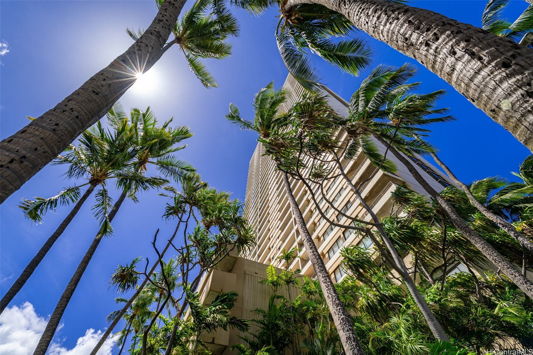 2121 Ala Wai Boulevard 2205