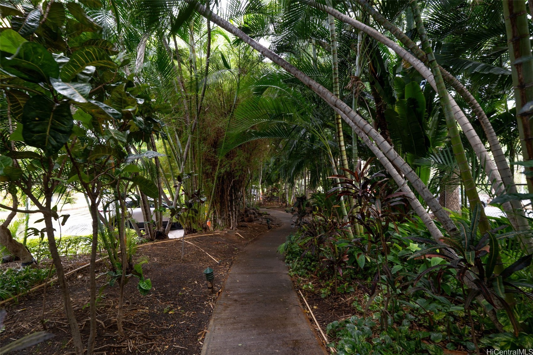 5333 Likini Street 703