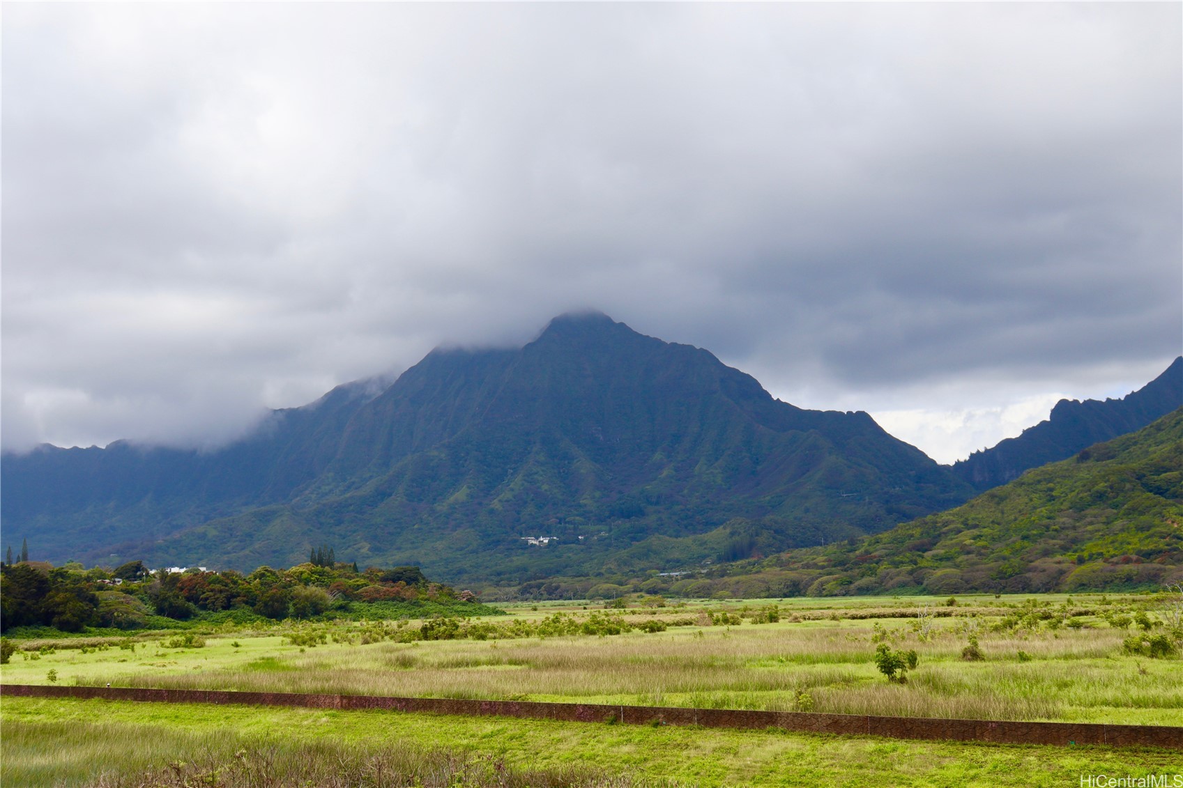 711 Wailepo Place 304