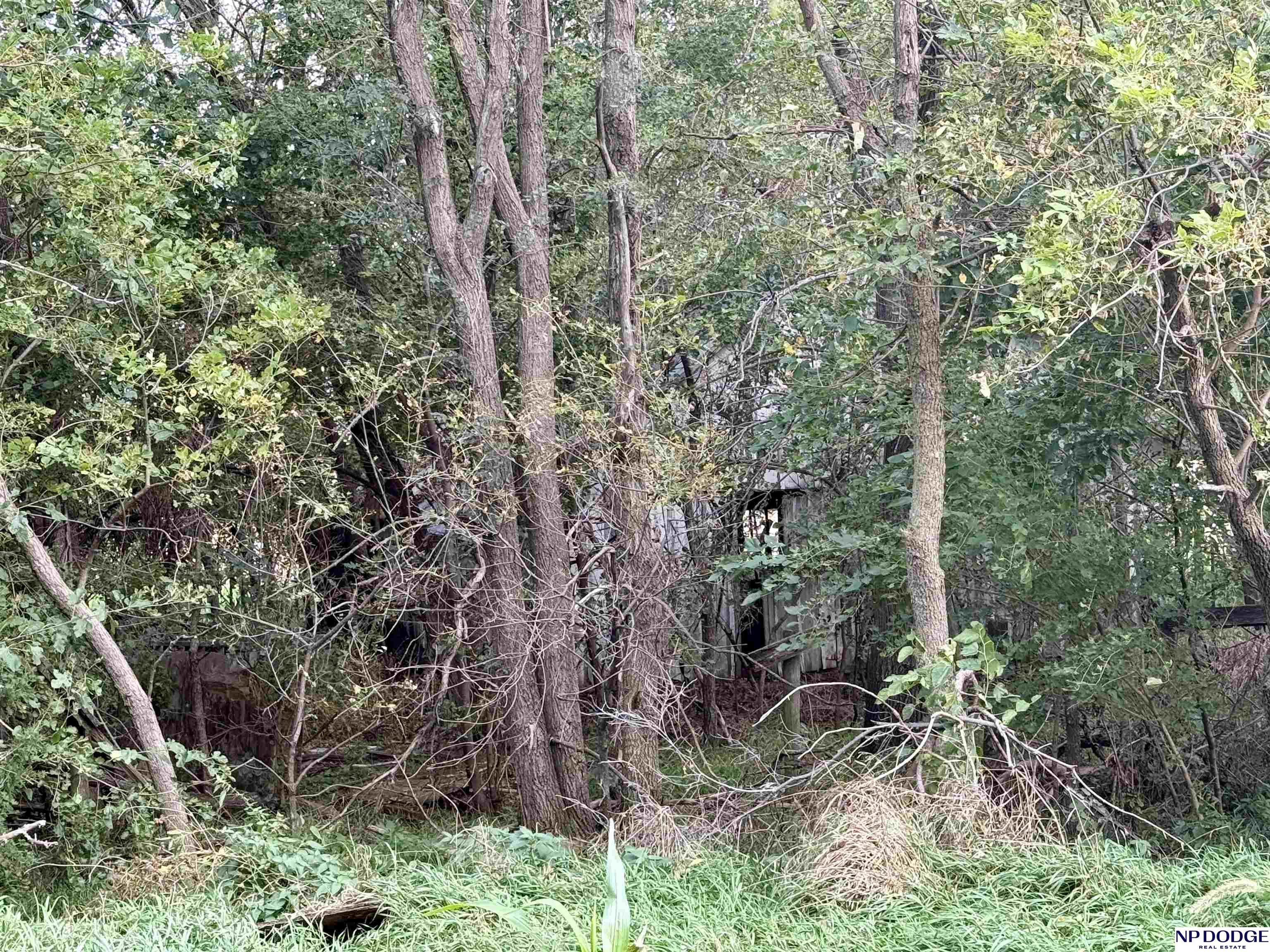 1225 Co. Road 1
