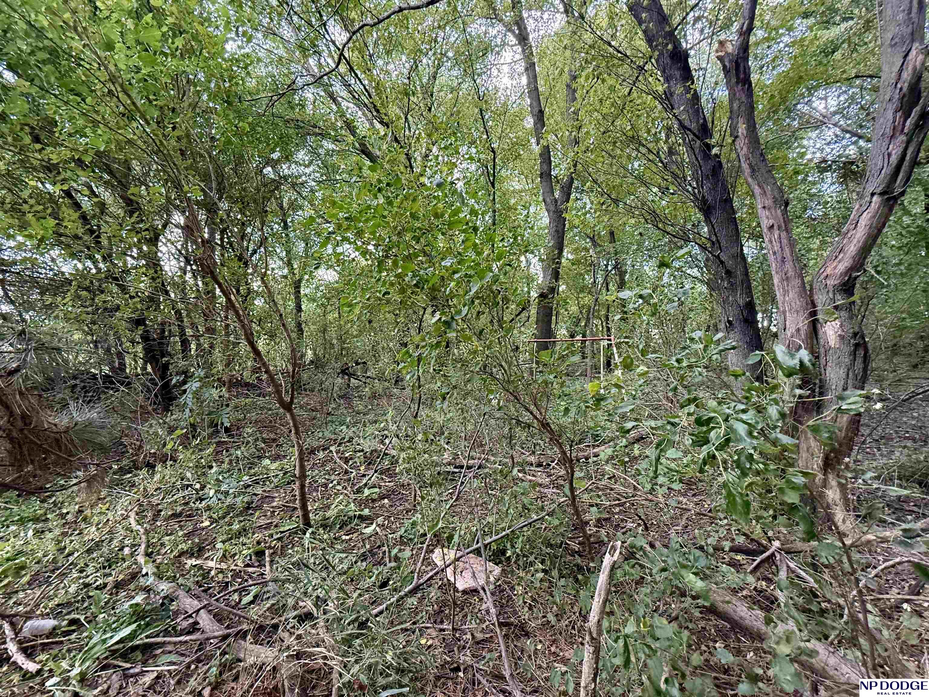 1225 Co. Road 1