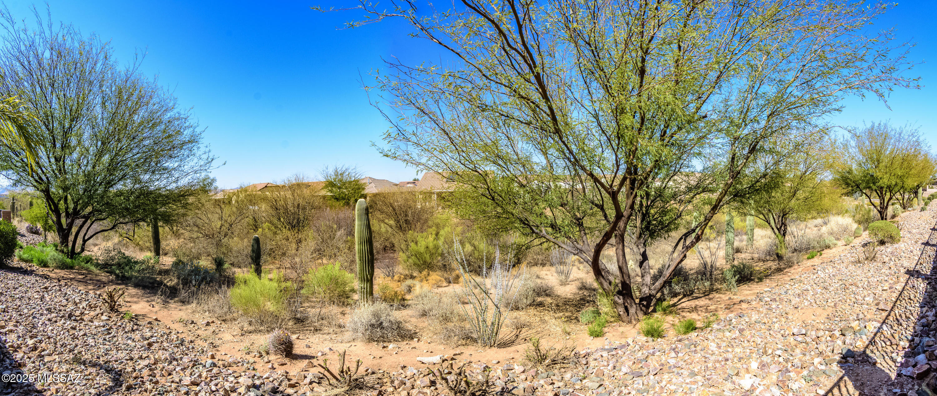2447 E Canyon Crossing Drive