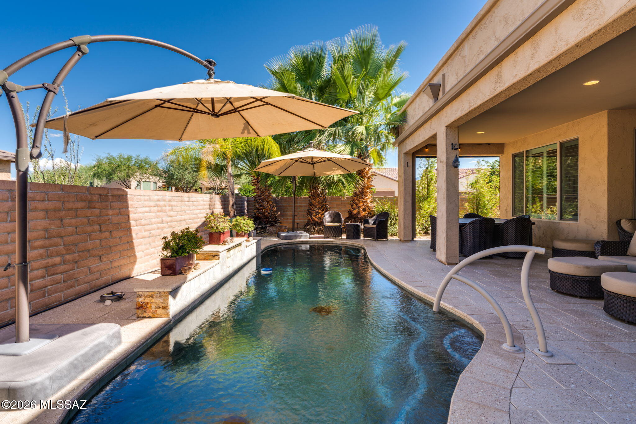 Backyard pool with shade umbrellas, palm trees, and a covered patio.