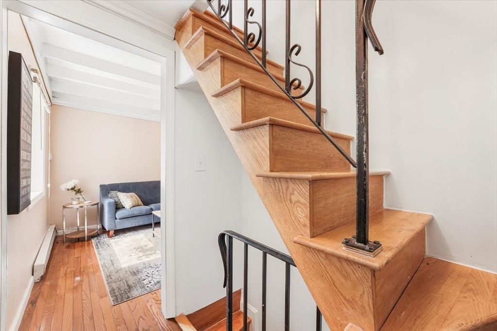 8 Lovis St