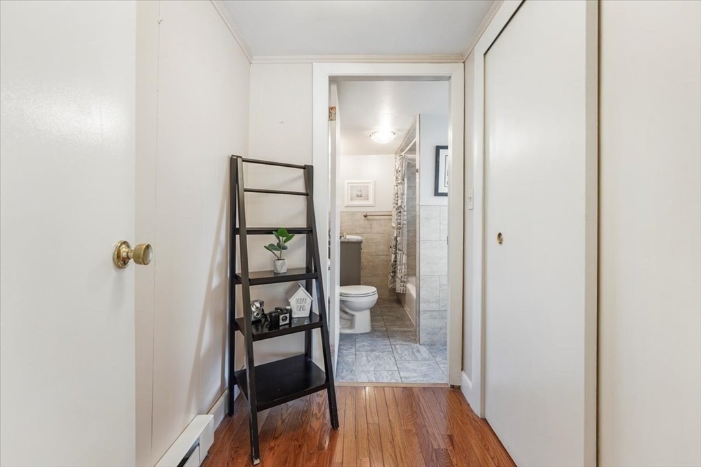 8 Lovis St