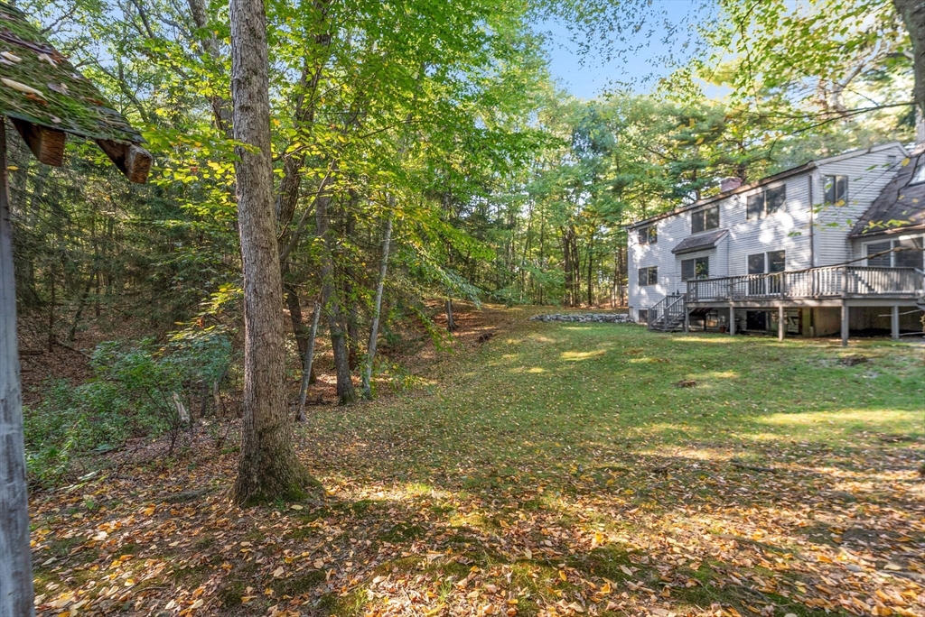 41 Orchard Avenue, Weston
