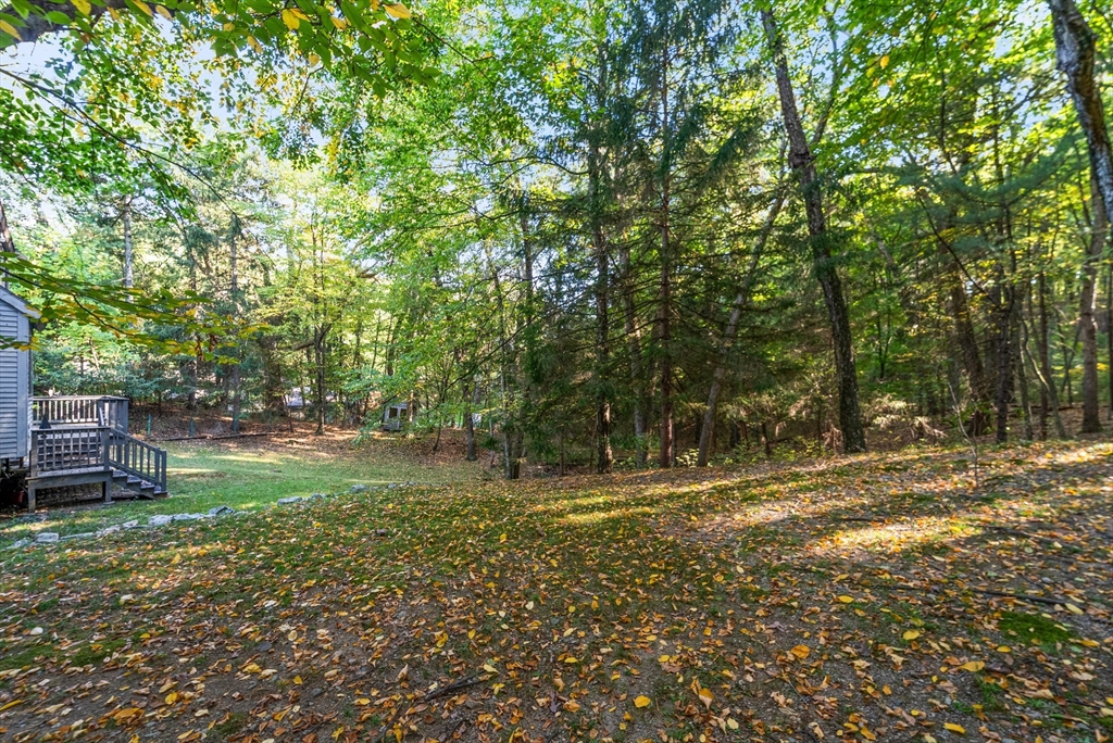 41 Orchard Avenue, Weston