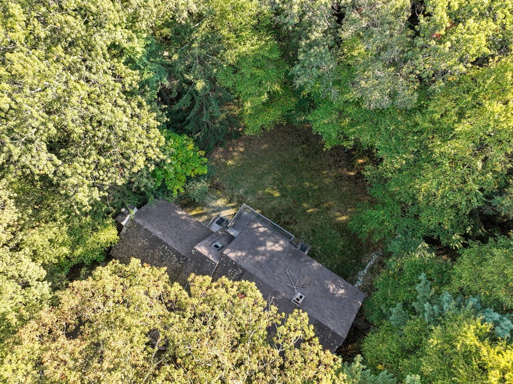 41 Orchard Avenue, Weston