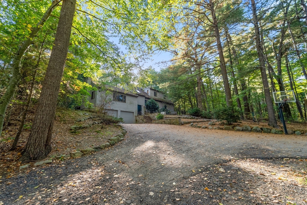 41 Orchard Avenue, Weston
