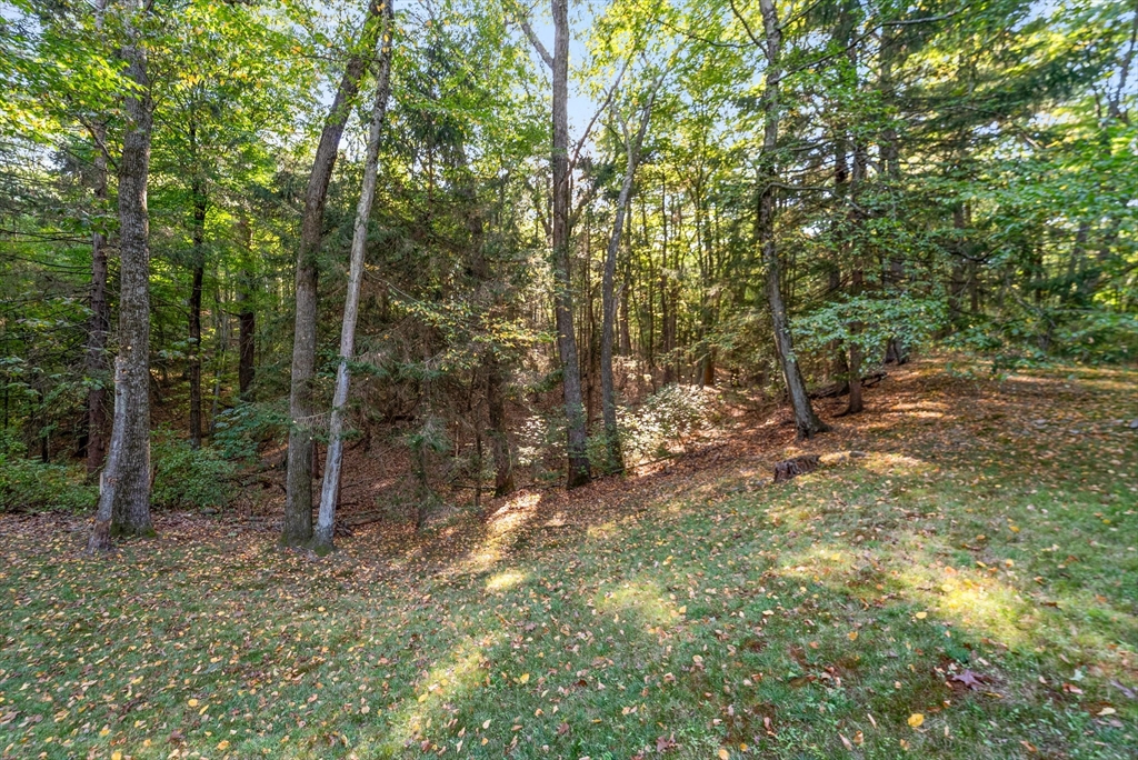 41 Orchard Avenue, Weston