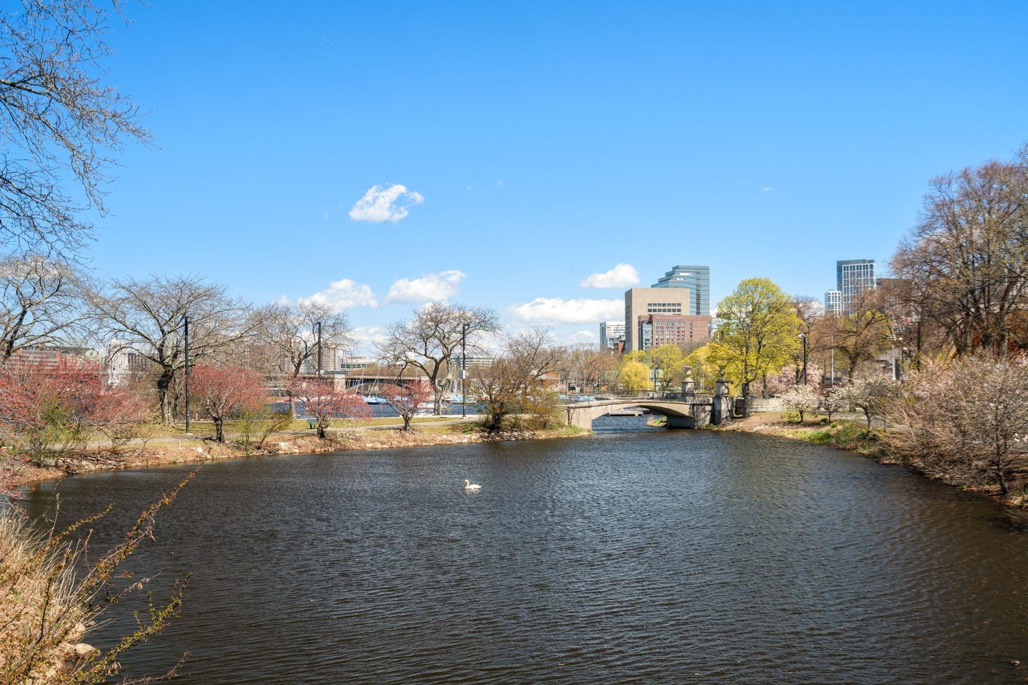 482 Beacon Street # 42