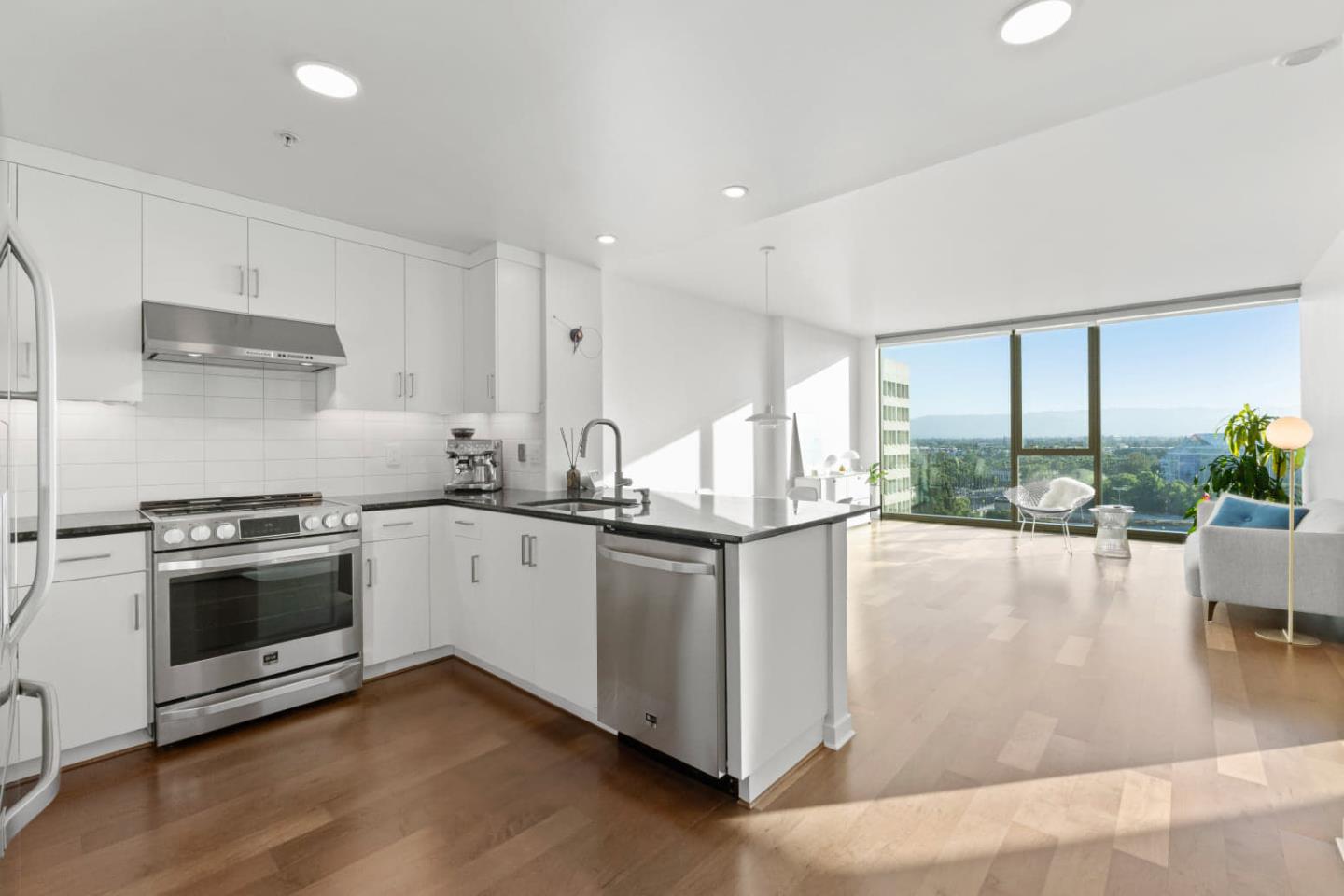 38 N Almaden BLVD 1205