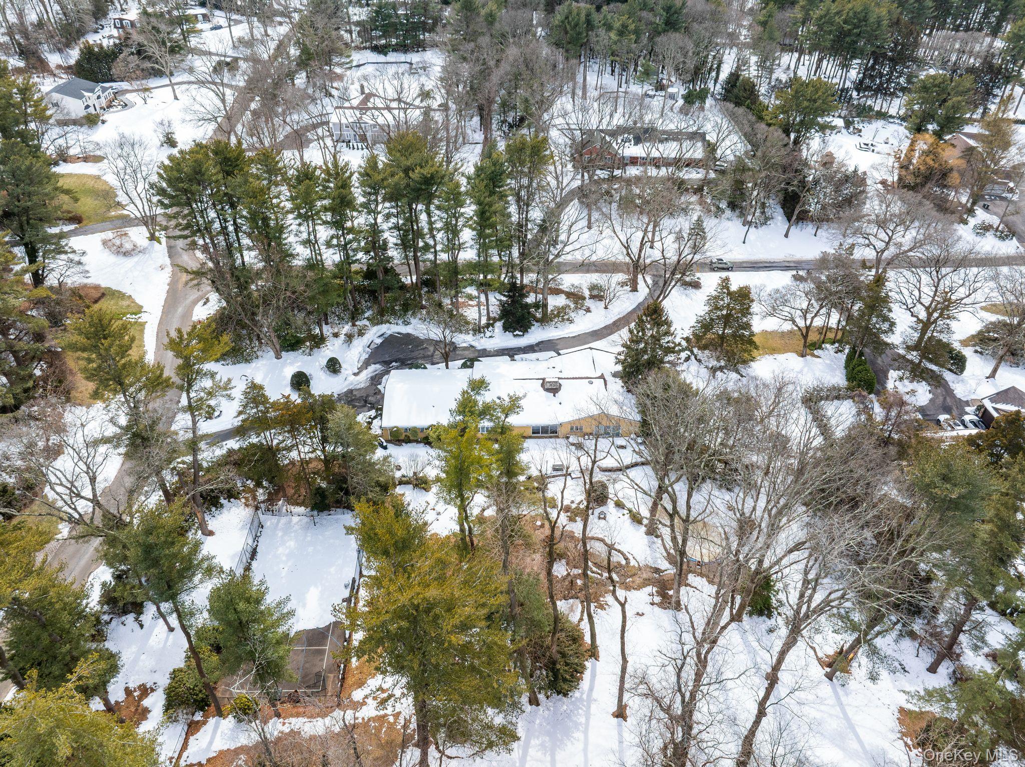 10 Dorchester Drive