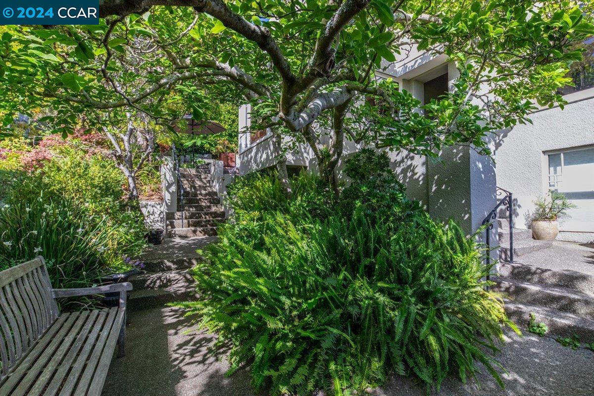 35 Hillcrest Road