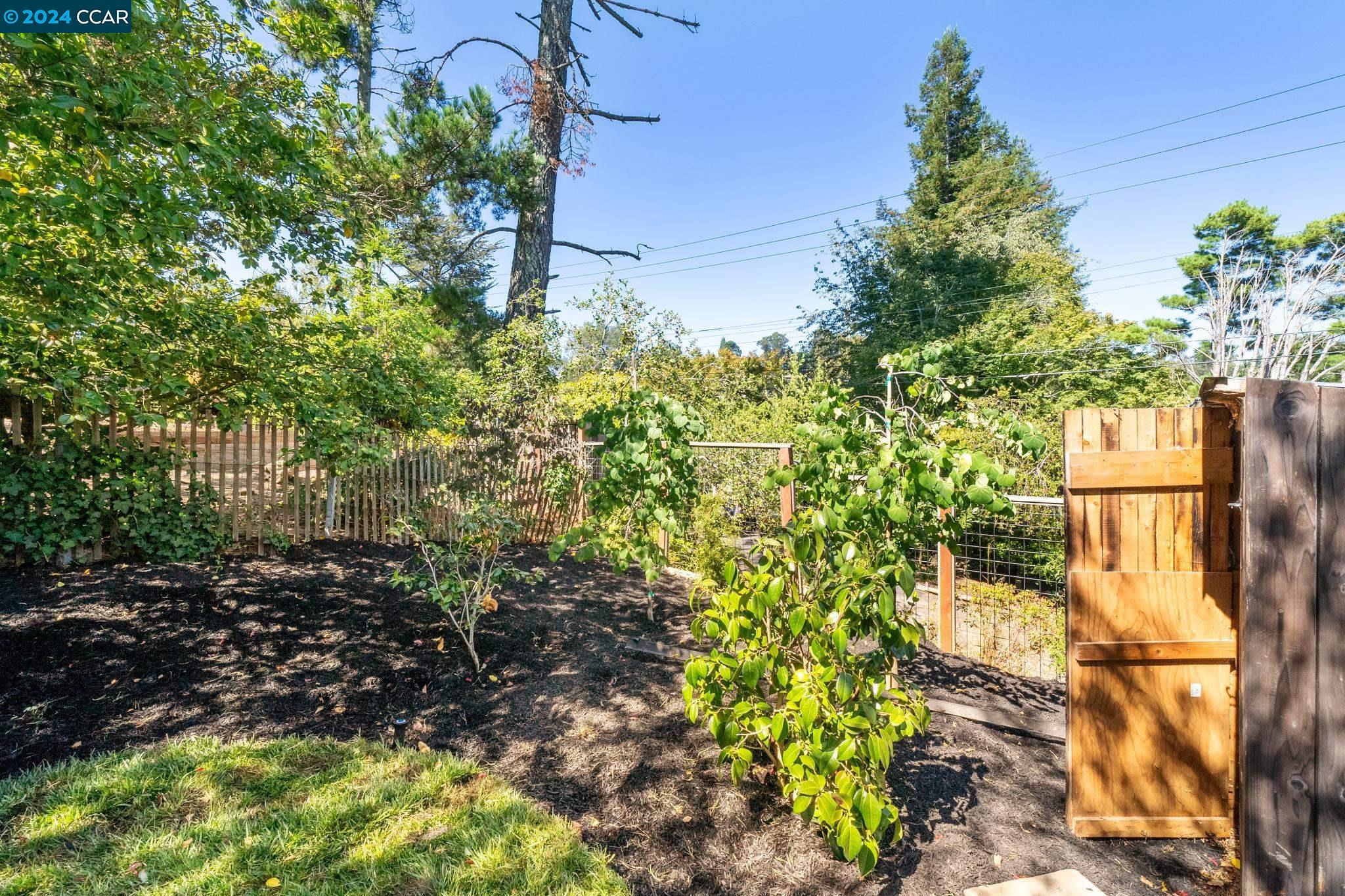 6915 Ridgewood Drive