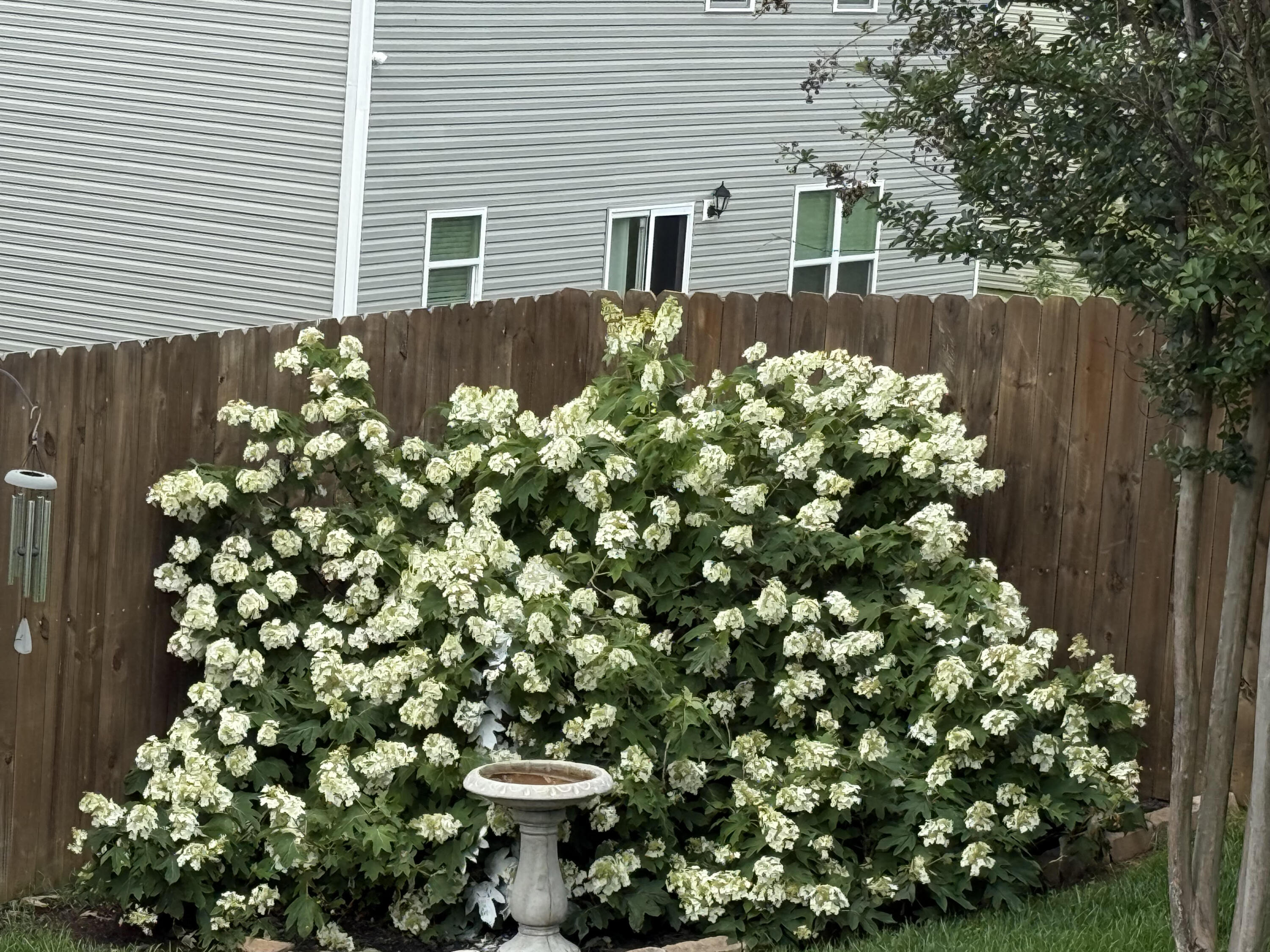 8103 Hamilton Mill Drive