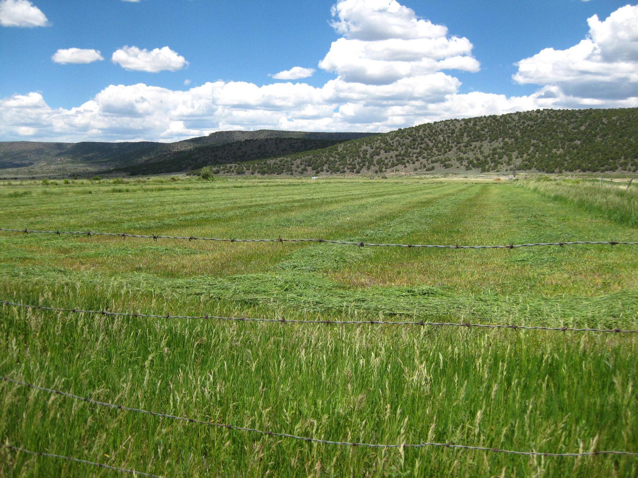 47 A and B Poleo Road