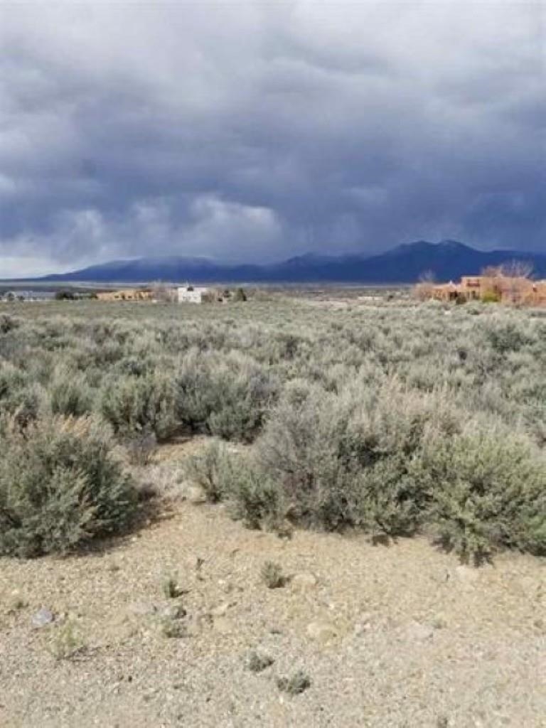 Lot 8