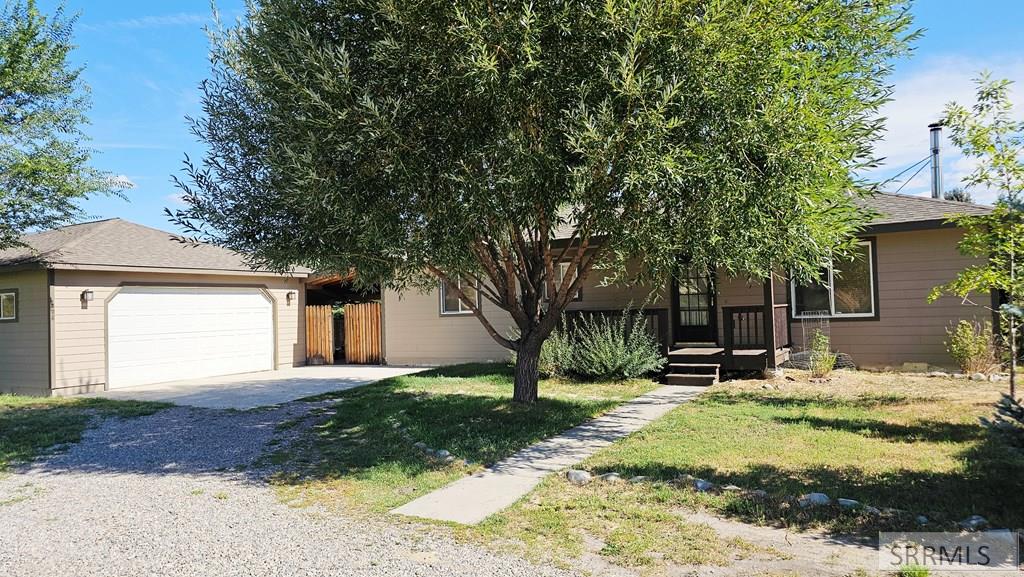 334 Catherine Lane