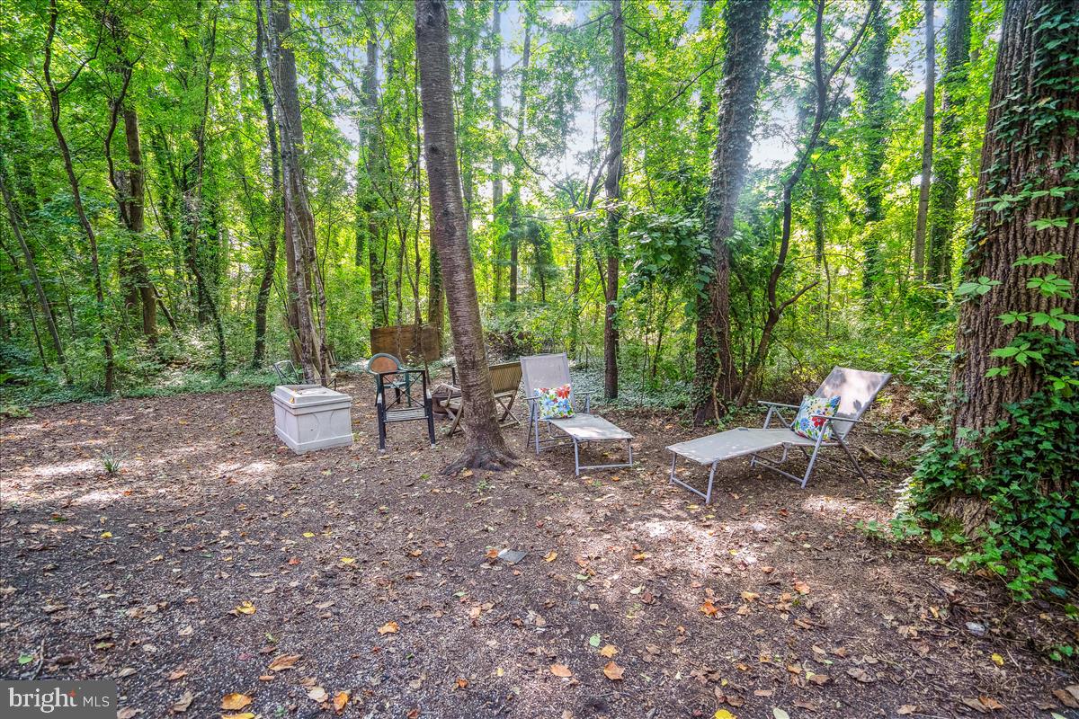 509 Wood Duck Ln