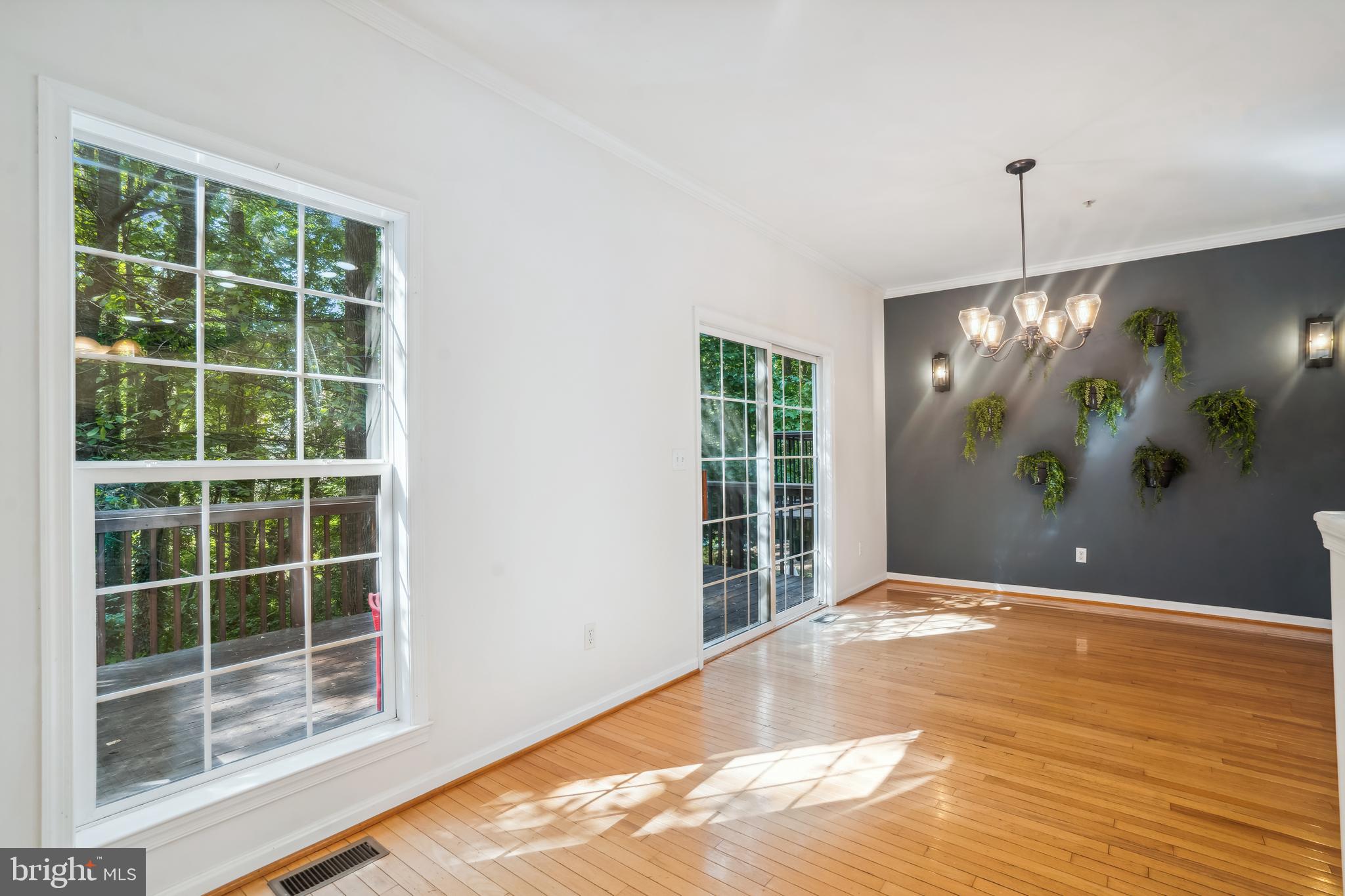 509 Wood Duck Ln